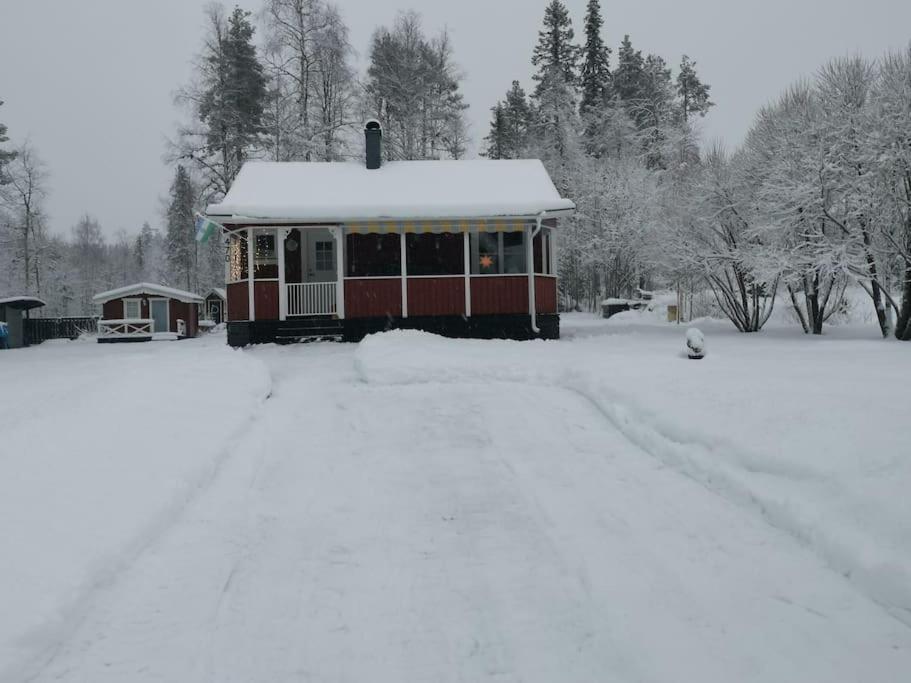 Cabin 70M From Lake. Big Garden Östersund Zewnętrze zdjęcie